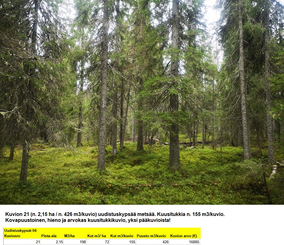 N. 5918 M3 / n. 55,34 ha määräala Kuusamosta. Hieno, erittäin monipuolinen kohde, isot hakkuumahdollisuudet, hyvät metsästysmahdollisuudet! Hintapyyntö 180 000 euroa. Tarjoukset alla olevaan sähköpostiin tuomo.liikanen@suomenmetsatilakauppa.fi