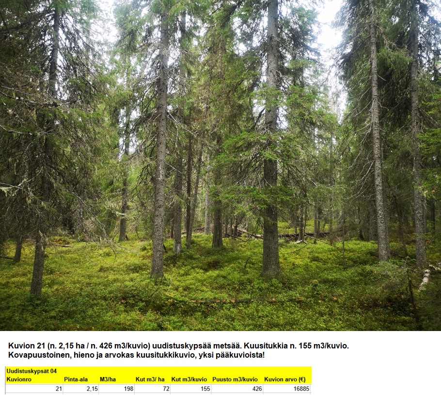 N. 5918 M3 / n. 55,34 ha määräala Kuusamosta. Hieno, erittäin monipuolinen kohde, isot hakkuumahdollisuudet, hyvät metsästysmahdollisuudet! Hintapyyntö 180 000 euroa. Tarjoukset alla olevaan sähköpostiin tuomo.liikanen@suomenmetsatilakauppa.fi