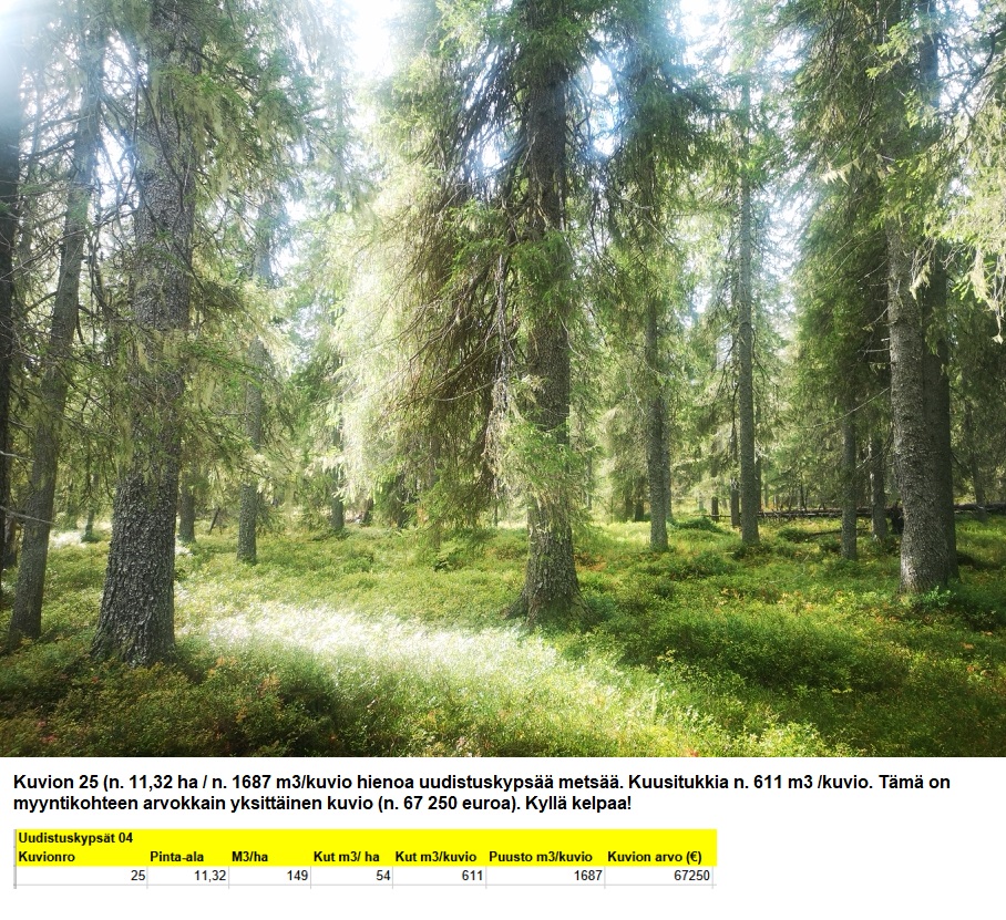 N. 5918 M3 / n. 55,34 ha määräala Kuusamosta. Hieno, erittäin monipuolinen kohde, isot hakkuumahdollisuudet, hyvät metsästysmahdollisuudet! Hintapyyntö 180 000 euroa. Tarjoukset alla olevaan sähköpostiin tuomo.liikanen@suomenmetsatilakauppa.fi