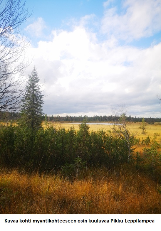 N. 5918 M3 / n. 55,34 ha määräala Kuusamosta. Hieno, erittäin monipuolinen kohde, isot hakkuumahdollisuudet, hyvät metsästysmahdollisuudet! Hintapyyntö 180 000 euroa. Tarjoukset alla olevaan sähköpostiin tuomo.liikanen@suomenmetsatilakauppa.fi