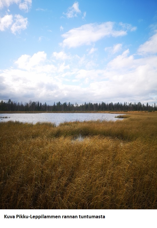 N. 5918 M3 / n. 55,34 ha määräala Kuusamosta. Hieno, erittäin monipuolinen kohde, isot hakkuumahdollisuudet, hyvät metsästysmahdollisuudet! Hintapyyntö 180 000 euroa. Tarjoukset alla olevaan sähköpostiin tuomo.liikanen@suomenmetsatilakauppa.fi