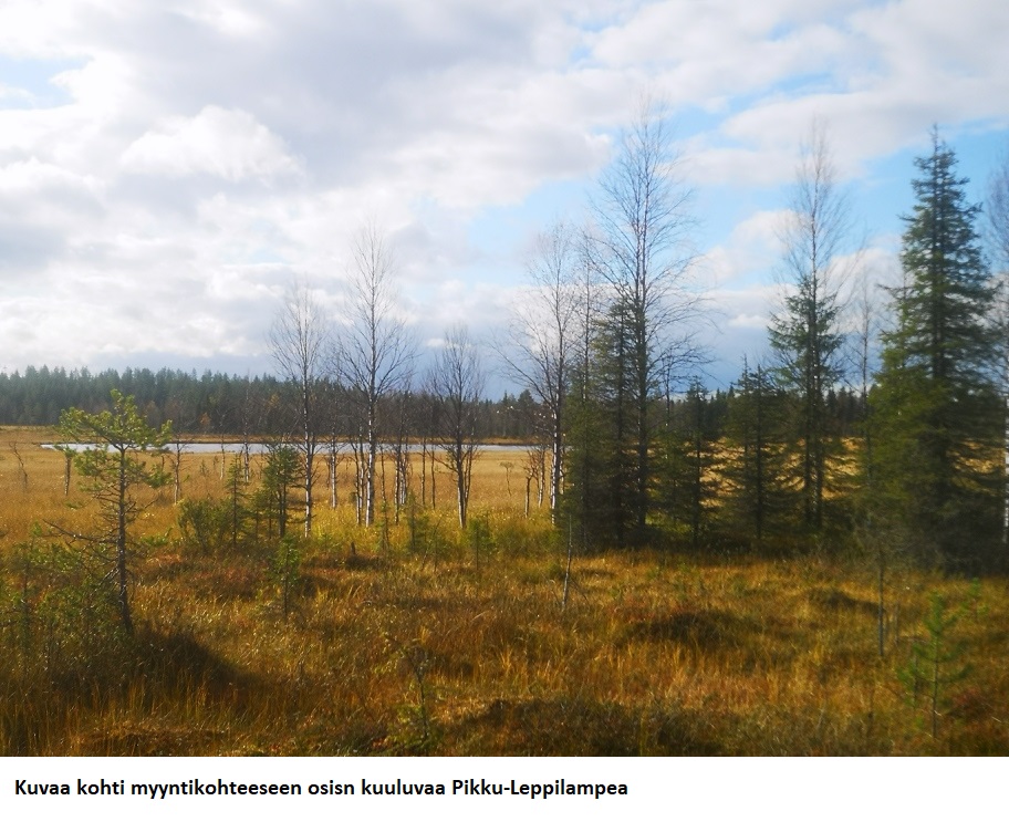 N. 5918 M3 / n. 55,34 ha määräala Kuusamosta. Hieno, erittäin monipuolinen kohde, isot hakkuumahdollisuudet, hyvät metsästysmahdollisuudet! Hintapyyntö 180 000 euroa. Tarjoukset alla olevaan sähköpostiin tuomo.liikanen@suomenmetsatilakauppa.fi