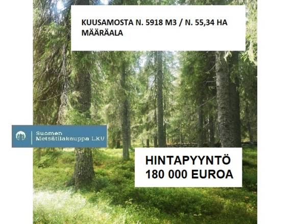 N. 5918 M3 / n. 55,34 ha määräala Kuusamosta. Hieno, erittäin monipuolinen kohde, isot hakkuumahdollisuudet, hyvät metsästysmahdollisuudet! Hintapyyntö 180 000 euroa. Tarjoukset alla olevaan sähköpostiin tuomo.liikanen@suomenmetsatilakauppa.fi
