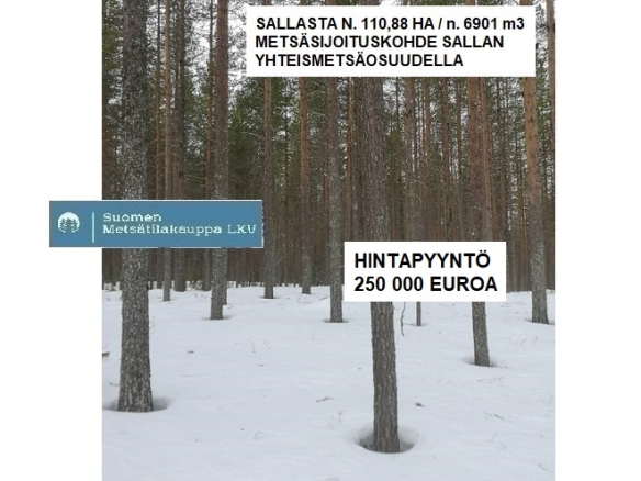 MYYDÄÄN Sallasta N. 6901 M3 / 110,88 ha hyväkasvuinen metsäsijoituskokonaisuus + Sallan yhteismetsäosuus 0,061125. Erittäin hyvä saavutettavuus ja hyvät hakkuumahdollisuudet. Tarjoukset alla olevaan sähköpostiin: tuomo.liikanen@suomenmetsatilakauppa.fi Tarjoukset käsitellään tarjouskohtaisesti.