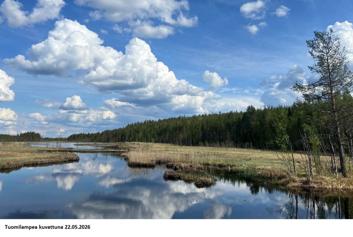 Uniikki n. 75,56 ha sijoituskohde Rovaniemeltä. Kallioita, oma lampi, linnuntietä n. 10 km Rovaniemen keskustaan! Tarjoukset sähköpostiin: tuomo.liikanen@suomenmetsatilakauppa.fi (Tarjoukset käsitellään tarjouskohtaisesti) Lisätiedot 050-4334720, Tuomo Liikanen.