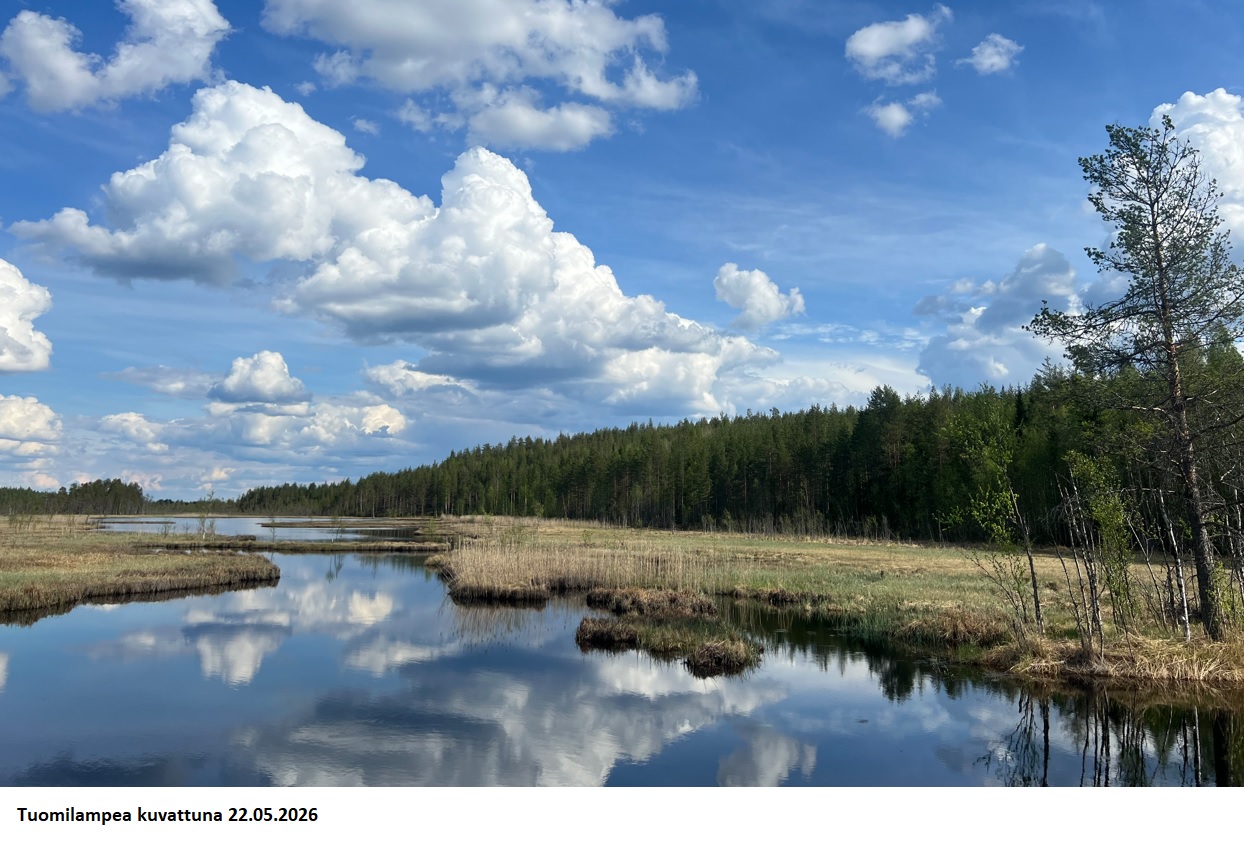 Uniikki n. 75,56 ha sijoituskohde Rovaniemeltä. Kallioita, oma lampi, linnuntietä n. 10 km Rovaniemen keskustaan! Tarjoukset sähköpostiin: tuomo.liikanen@suomenmetsatilakauppa.fi (Tarjoukset käsitellään tarjouskohtaisesti) Lisätiedot 050-4334720, Tuomo Liikanen.