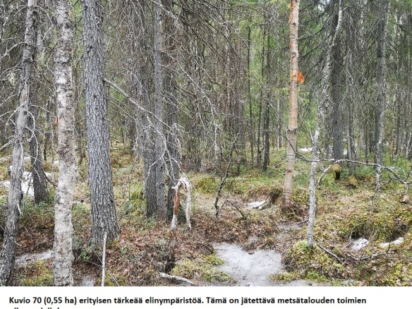 Myydään n. 8207 m3/ n. 99,47 ha metsäsijoituskohde Rovaniemeltä pikitien vierestä. Uudistuskypsiä metsiä n. 3070 m3, kasvatusmetsiä n. 4652 m2. Tarjoukset viimeistään to 28.05.2026 alla olevaan sähköpostiin tuomo.liikanen@suomenmetsatilakauppa.fi Lisätiedot 050-4334720, Tuomo Liikanen