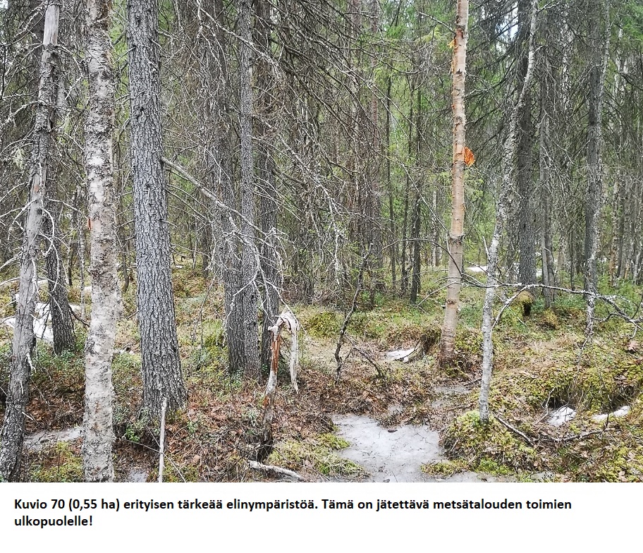 Myydään n. 8207 m3/ n. 99,47 ha metsäsijoituskohde Rovaniemeltä pikitien vierestä. Uudistuskypsiä metsiä n. 3070 m3, kasvatusmetsiä n. 4652 m2. Tarjoukset viimeistään to 28.05.2026 alla olevaan sähköpostiin tuomo.liikanen@suomenmetsatilakauppa.fi Lisätiedot 050-4334720, Tuomo Liikanen