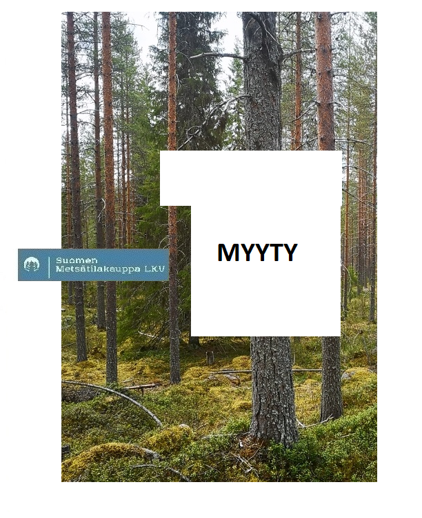 MYYTY! N. 8207 m3/ n. 99,47 ha metsäsijoituskohde Rovaniemeltä.