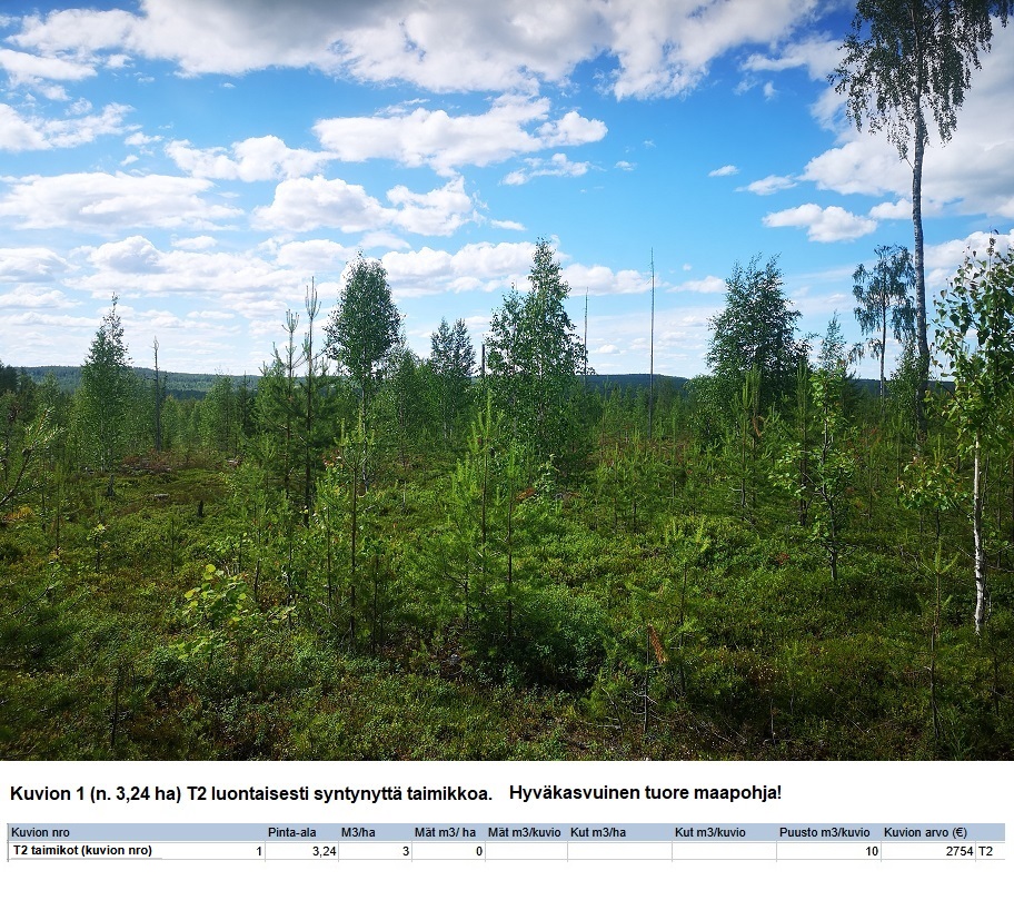 N. 94,63 ha / n. 4207 m3 metsäsijoituskohde Rovaniemeltä keskustan läheisyydestä! Tarjoukset viimeistään ti 11.08.2026 sähköpostiin tuomo.liikanen@suomenmetsatilakauppa.fi Lisätiedot 050-4334720, Tuomo Liikanen