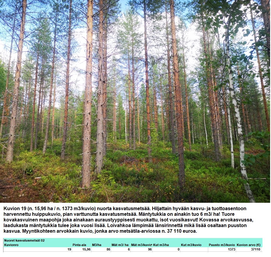 N. 94,63 ha / n. 4207 m3 metsäsijoituskohde Rovaniemeltä keskustan läheisyydestä! Tarjoukset viimeistään ti 11.08.2026 sähköpostiin tuomo.liikanen@suomenmetsatilakauppa.fi Lisätiedot 050-4334720, Tuomo Liikanen