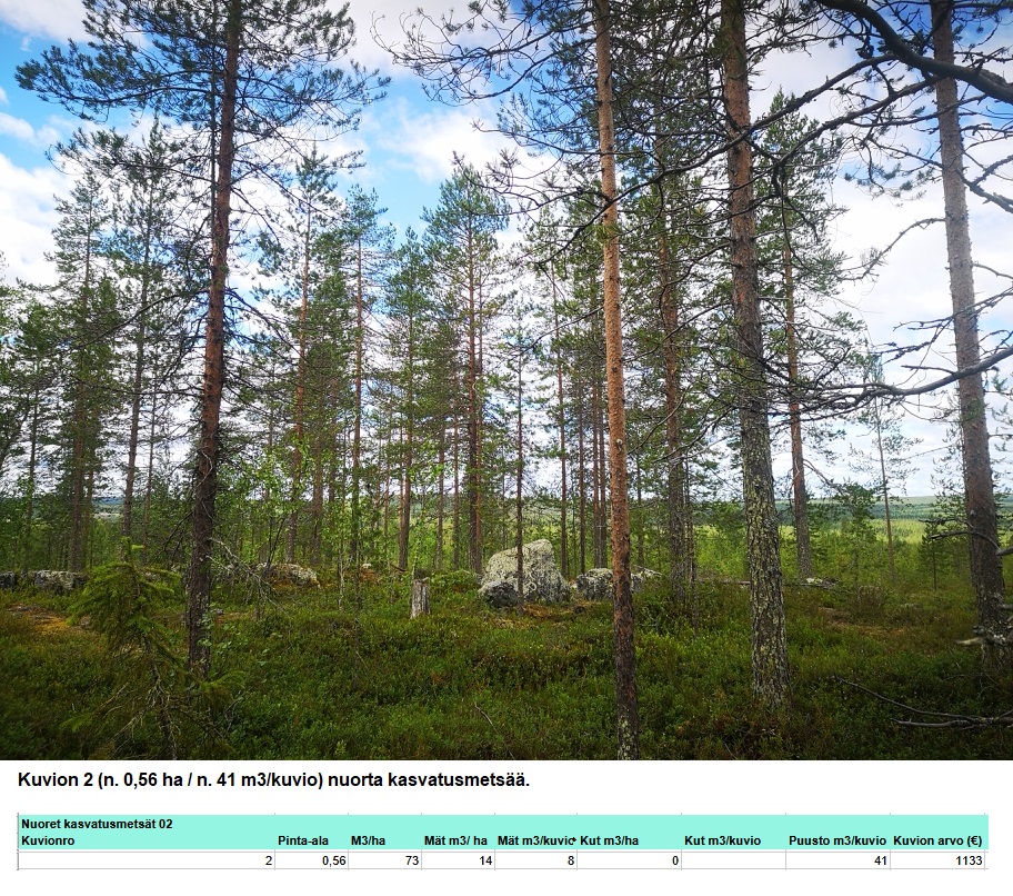 N. 94,63 ha / n. 4207 m3 metsäsijoituskohde Rovaniemeltä keskustan läheisyydestä! Tarjoukset viimeistään ti 11.08.2026 sähköpostiin tuomo.liikanen@suomenmetsatilakauppa.fi Lisätiedot 050-4334720, Tuomo Liikanen