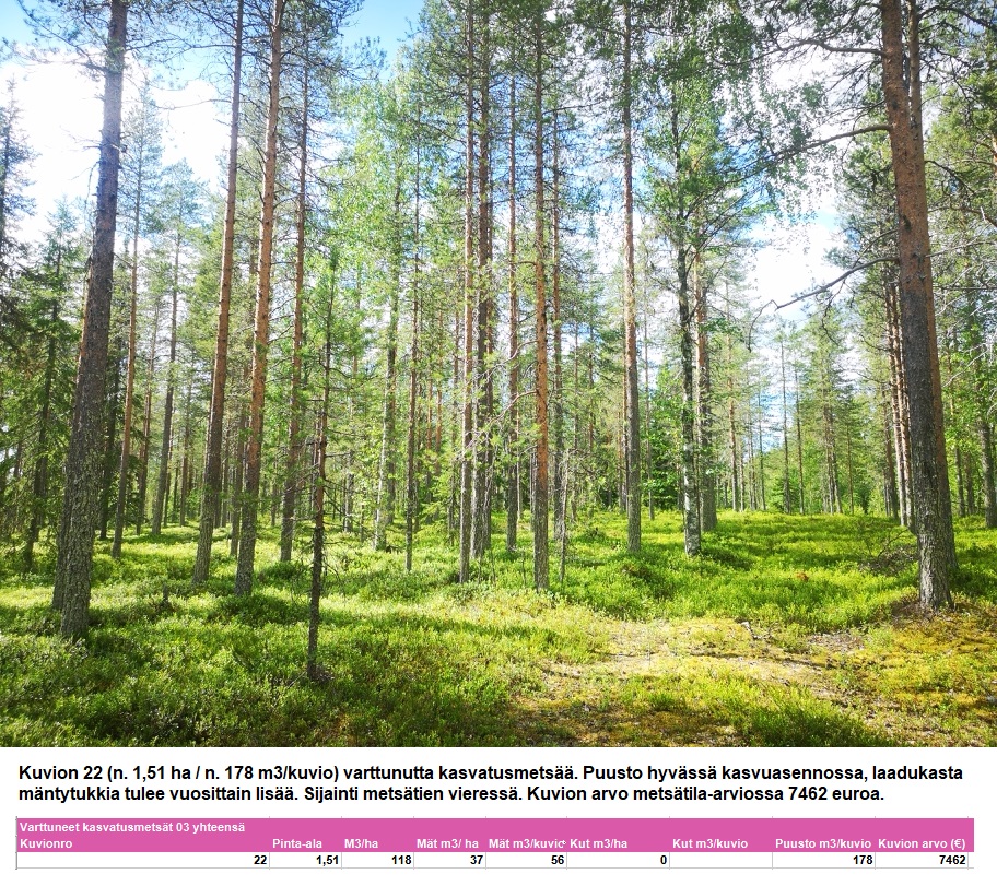 N. 94,63 ha / n. 4207 m3 metsäsijoituskohde Rovaniemeltä keskustan läheisyydestä! Tarjoukset viimeistään ti 11.08.2026 sähköpostiin tuomo.liikanen@suomenmetsatilakauppa.fi Lisätiedot 050-4334720, Tuomo Liikanen