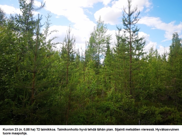N. 94,63 ha / n. 4207 m3 metsäsijoituskohde Rovaniemeltä keskustan läheisyydestä! Tarjoukset viimeistään ti 11.08.2026 sähköpostiin tuomo.liikanen@suomenmetsatilakauppa.fi Lisätiedot 050-4334720, Tuomo Liikanen