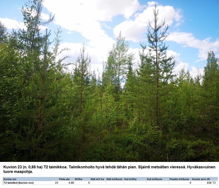 N. 94,63 ha / n. 4207 m3 metsäsijoituskohde Rovaniemeltä keskustan läheisyydestä! Tarjoukset viimeistään ti 11.08.2026 sähköpostiin tuomo.liikanen@suomenmetsatilakauppa.fi Lisätiedot 050-4334720, Tuomo Liikanen