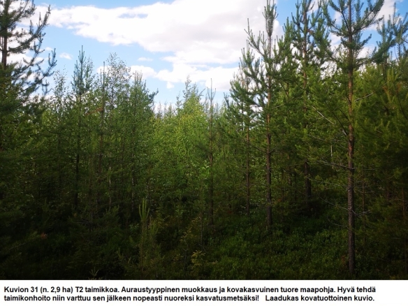 N. 94,63 ha / n. 4207 m3 metsäsijoituskohde Rovaniemeltä keskustan läheisyydestä! Tarjoukset viimeistään ti 11.08.2026 sähköpostiin tuomo.liikanen@suomenmetsatilakauppa.fi Lisätiedot 050-4334720, Tuomo Liikanen