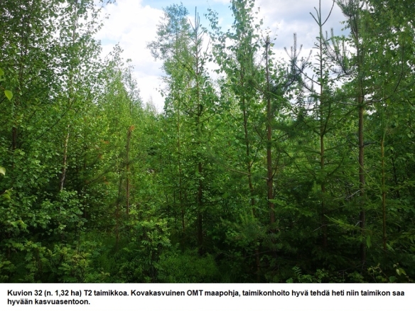 N. 94,63 ha / n. 4207 m3 metsäsijoituskohde Rovaniemeltä keskustan läheisyydestä! Tarjoukset viimeistään ti 11.08.2026 sähköpostiin tuomo.liikanen@suomenmetsatilakauppa.fi Lisätiedot 050-4334720, Tuomo Liikanen
