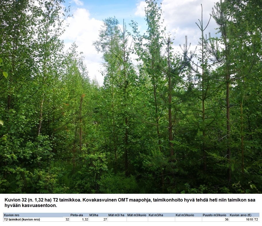 N. 94,63 ha / n. 4207 m3 metsäsijoituskohde Rovaniemeltä keskustan läheisyydestä! Tarjoukset viimeistään ti 11.08.2026 sähköpostiin tuomo.liikanen@suomenmetsatilakauppa.fi Lisätiedot 050-4334720, Tuomo Liikanen