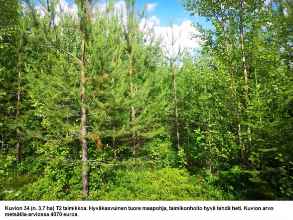 N. 94,63 ha / n. 4207 m3 metsäsijoituskohde Rovaniemeltä keskustan läheisyydestä! Tarjoukset viimeistään ti 11.08.2026 sähköpostiin tuomo.liikanen@suomenmetsatilakauppa.fi Lisätiedot 050-4334720, Tuomo Liikanen