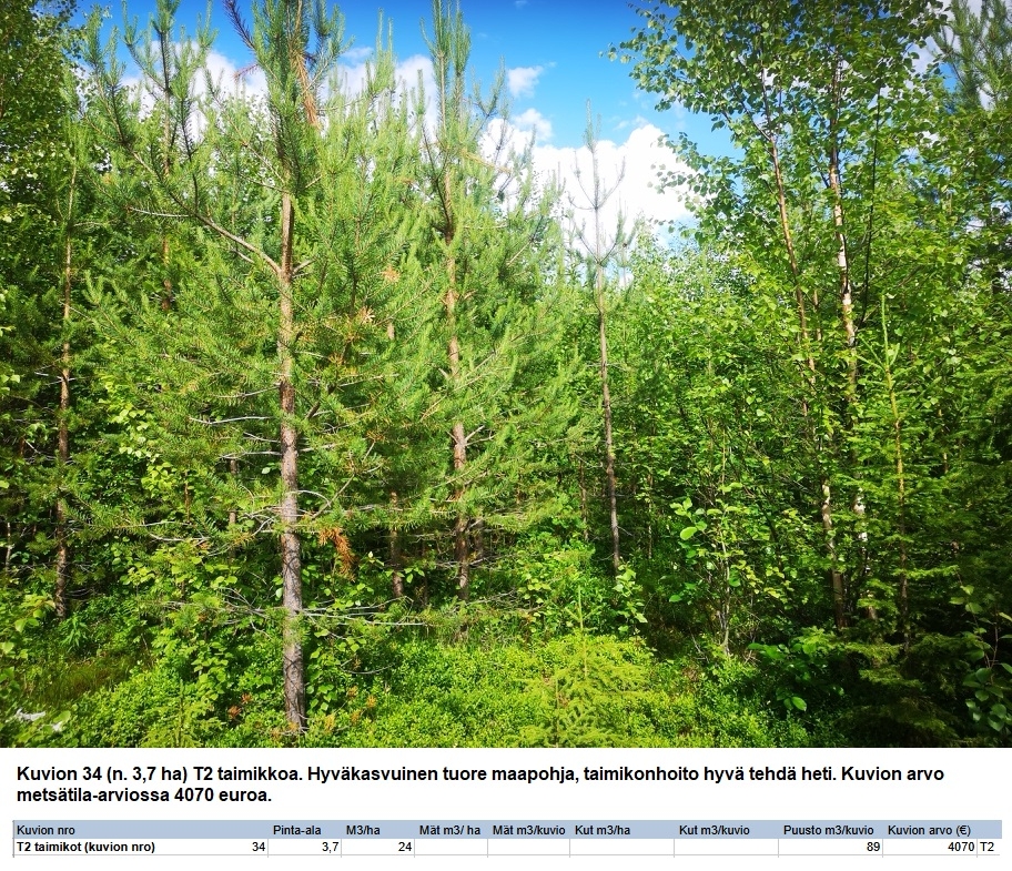 N. 94,63 ha / n. 4207 m3 metsäsijoituskohde Rovaniemeltä keskustan läheisyydestä! Tarjoukset viimeistään ti 11.08.2026 sähköpostiin tuomo.liikanen@suomenmetsatilakauppa.fi Lisätiedot 050-4334720, Tuomo Liikanen
