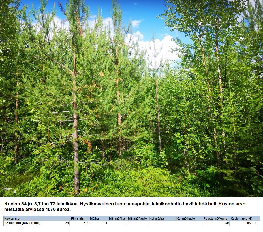 N. 94,63 ha / n. 4207 m3 metsäsijoituskohde Rovaniemeltä keskustan läheisyydestä! Tarjoukset viimeistään ti 11.08.2026 sähköpostiin tuomo.liikanen@suomenmetsatilakauppa.fi Lisätiedot 050-4334720, Tuomo Liikanen