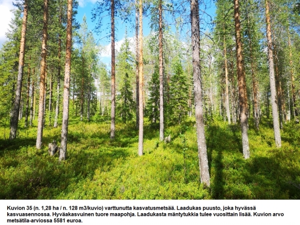 N. 94,63 ha / n. 4207 m3 metsäsijoituskohde Rovaniemeltä keskustan läheisyydestä! Tarjoukset viimeistään ti 11.08.2026 sähköpostiin tuomo.liikanen@suomenmetsatilakauppa.fi Lisätiedot 050-4334720, Tuomo Liikanen