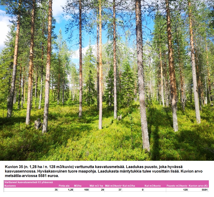 N. 94,63 ha / n. 4207 m3 metsäsijoituskohde Rovaniemeltä keskustan läheisyydestä! Tarjoukset viimeistään ti 11.08.2026 sähköpostiin tuomo.liikanen@suomenmetsatilakauppa.fi Lisätiedot 050-4334720, Tuomo Liikanen