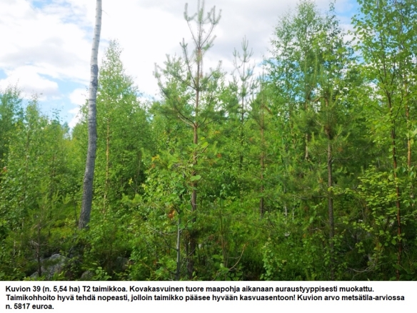 N. 94,63 ha / n. 4207 m3 metsäsijoituskohde Rovaniemeltä keskustan läheisyydestä! Tarjoukset viimeistään ti 11.08.2026 sähköpostiin tuomo.liikanen@suomenmetsatilakauppa.fi Lisätiedot 050-4334720, Tuomo Liikanen