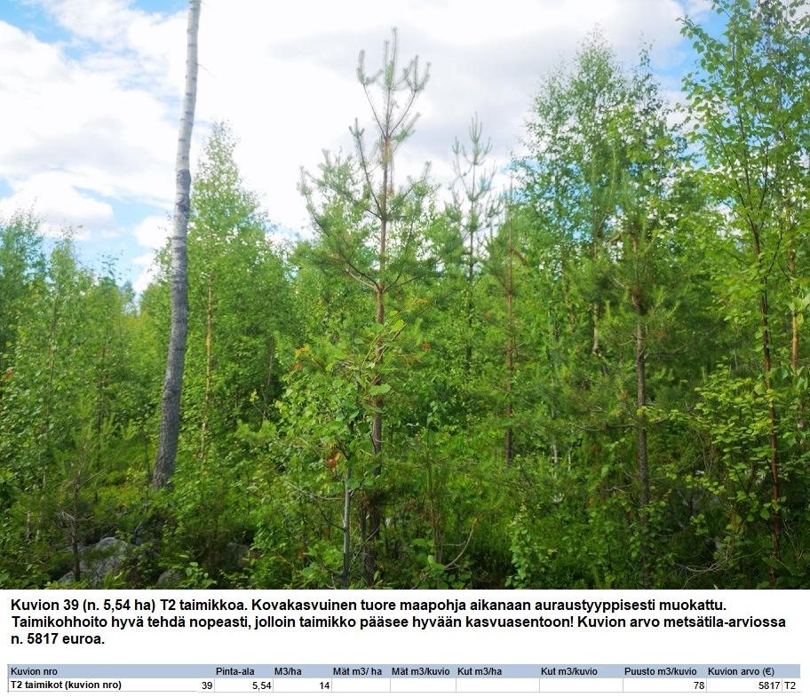 N. 94,63 ha / n. 4207 m3 metsäsijoituskohde Rovaniemeltä keskustan läheisyydestä! Tarjoukset viimeistään ti 11.08.2026 sähköpostiin tuomo.liikanen@suomenmetsatilakauppa.fi Lisätiedot 050-4334720, Tuomo Liikanen