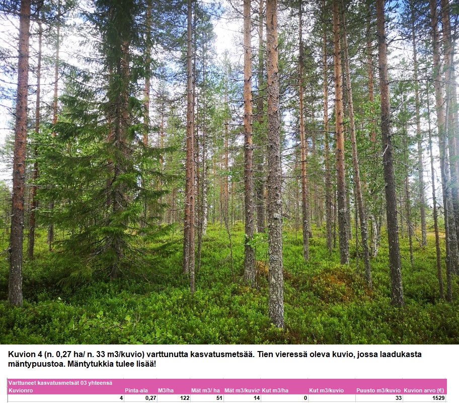 N. 94,63 ha / n. 4207 m3 metsäsijoituskohde Rovaniemeltä keskustan läheisyydestä! Tarjoukset viimeistään ti 11.08.2026 sähköpostiin tuomo.liikanen@suomenmetsatilakauppa.fi Lisätiedot 050-4334720, Tuomo Liikanen