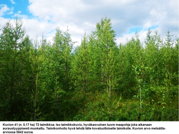 N. 94,63 ha / n. 4207 m3 metsäsijoituskohde Rovaniemeltä keskustan läheisyydestä! Tarjoukset viimeistään ti 11.08.2026 sähköpostiin tuomo.liikanen@suomenmetsatilakauppa.fi Lisätiedot 050-4334720, Tuomo Liikanen