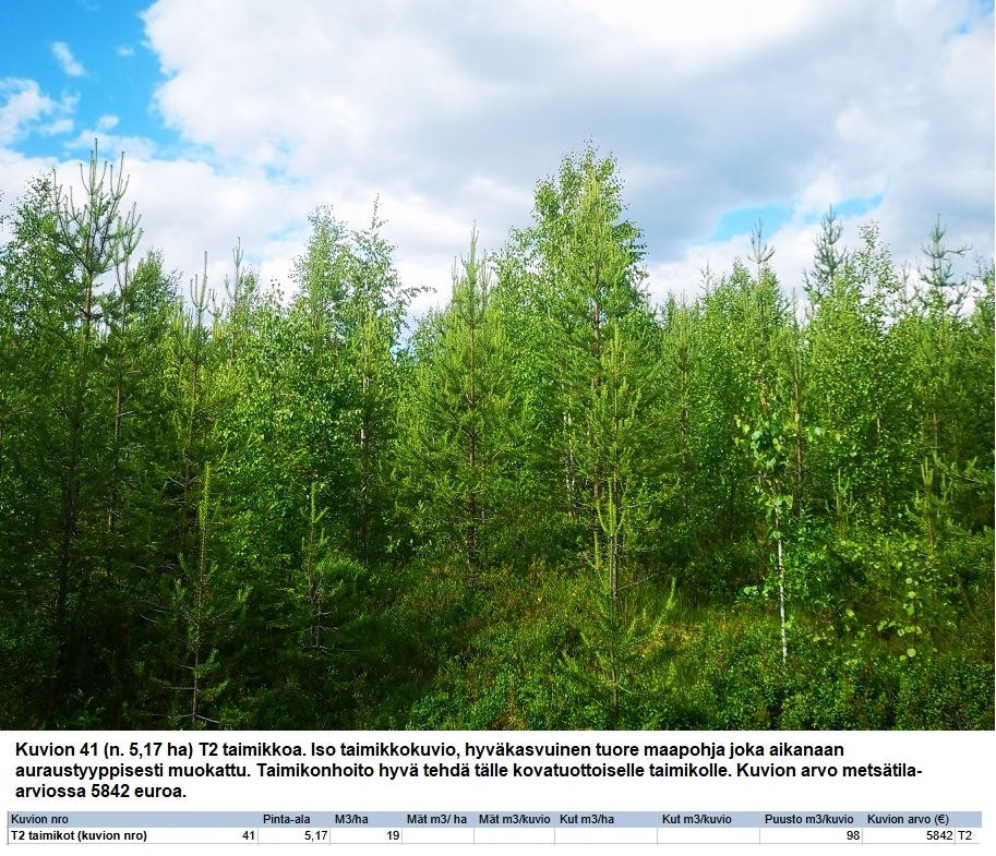 N. 94,63 ha / n. 4207 m3 metsäsijoituskohde Rovaniemeltä keskustan läheisyydestä! Tarjoukset viimeistään ti 11.08.2026 sähköpostiin tuomo.liikanen@suomenmetsatilakauppa.fi Lisätiedot 050-4334720, Tuomo Liikanen