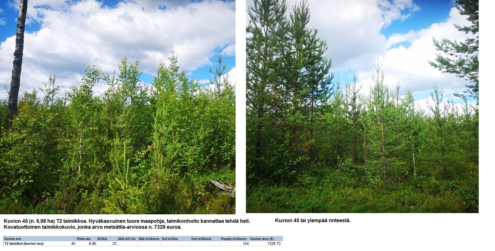 N. 94,63 ha / n. 4207 m3 metsäsijoituskohde Rovaniemeltä keskustan läheisyydestä! Tarjoukset viimeistään ti 11.08.2026 sähköpostiin tuomo.liikanen@suomenmetsatilakauppa.fi Lisätiedot 050-4334720, Tuomo Liikanen