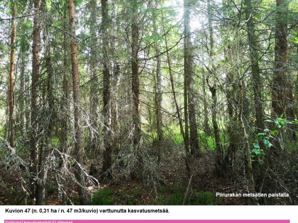 N. 94,63 ha / n. 4207 m3 metsäsijoituskohde Rovaniemeltä keskustan läheisyydestä! Tarjoukset viimeistään ti 11.08.2026 sähköpostiin tuomo.liikanen@suomenmetsatilakauppa.fi Lisätiedot 050-4334720, Tuomo Liikanen