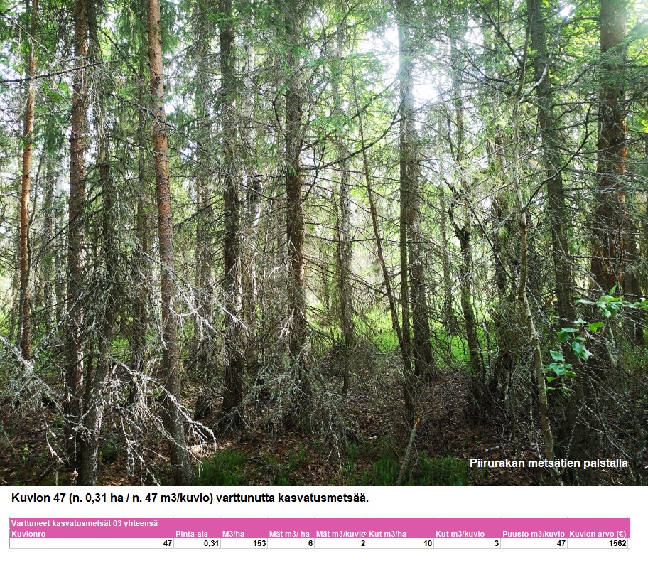 N. 94,63 ha / n. 4207 m3 metsäsijoituskohde Rovaniemeltä keskustan läheisyydestä! Tarjoukset viimeistään ti 11.08.2026 sähköpostiin tuomo.liikanen@suomenmetsatilakauppa.fi Lisätiedot 050-4334720, Tuomo Liikanen