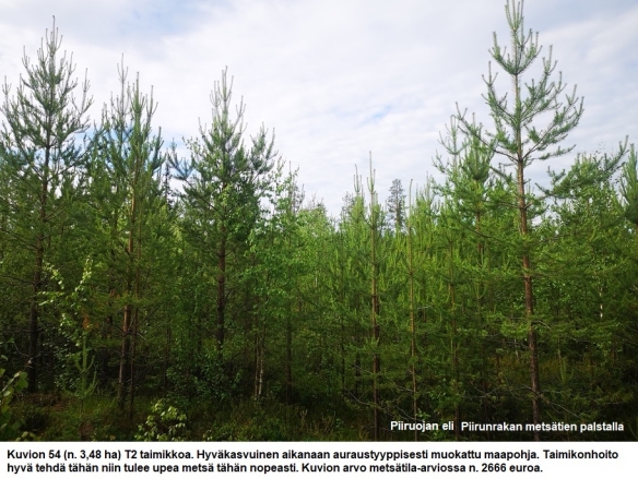 N. 94,63 ha / n. 4207 m3 metsäsijoituskohde Rovaniemeltä keskustan läheisyydestä! Tarjoukset viimeistään ti 11.08.2026 sähköpostiin tuomo.liikanen@suomenmetsatilakauppa.fi Lisätiedot 050-4334720, Tuomo Liikanen