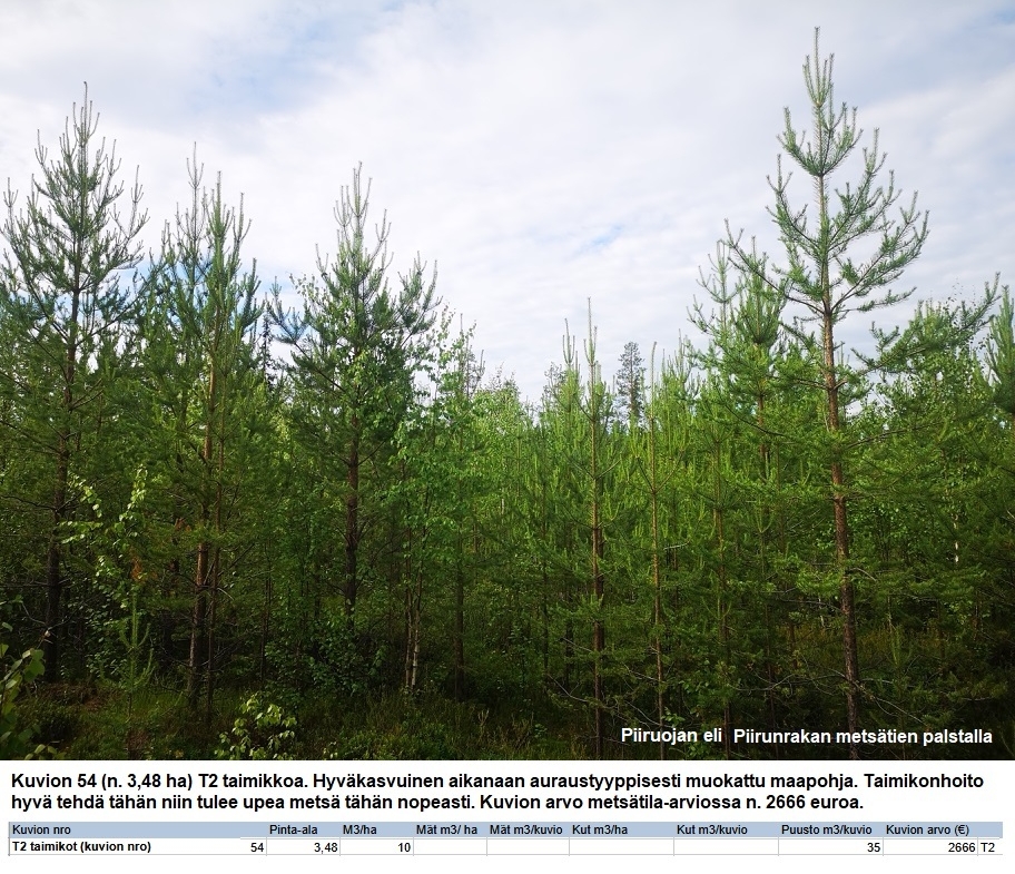 N. 94,63 ha / n. 4207 m3 metsäsijoituskohde Rovaniemeltä keskustan läheisyydestä! Tarjoukset viimeistään ti 11.08.2026 sähköpostiin tuomo.liikanen@suomenmetsatilakauppa.fi Lisätiedot 050-4334720, Tuomo Liikanen