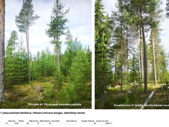 N. 94,63 ha / n. 4207 m3 metsäsijoituskohde Rovaniemeltä keskustan läheisyydestä! Tarjoukset viimeistään ti 11.08.2026 sähköpostiin tuomo.liikanen@suomenmetsatilakauppa.fi Lisätiedot 050-4334720, Tuomo Liikanen