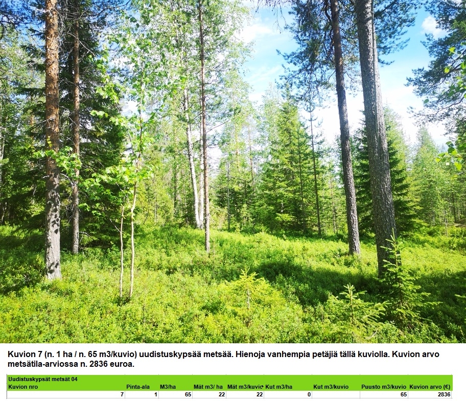 N. 94,63 ha / n. 4207 m3 metsäsijoituskohde Rovaniemeltä keskustan läheisyydestä! Tarjoukset viimeistään ti 11.08.2026 sähköpostiin tuomo.liikanen@suomenmetsatilakauppa.fi Lisätiedot 050-4334720, Tuomo Liikanen