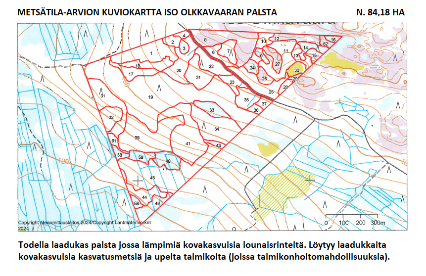 N. 94,63 ha / n. 4207 m3 metsäsijoituskohde Rovaniemeltä keskustan läheisyydestä! Tarjoukset viimeistään ti 11.08.2026 sähköpostiin tuomo.liikanen@suomenmetsatilakauppa.fi Lisätiedot 050-4334720, Tuomo Liikanen