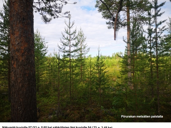 N. 94,63 ha / n. 4207 m3 metsäsijoituskohde Rovaniemeltä keskustan läheisyydestä! Tarjoukset viimeistään ti 11.08.2026 sähköpostiin tuomo.liikanen@suomenmetsatilakauppa.fi Lisätiedot 050-4334720, Tuomo Liikanen