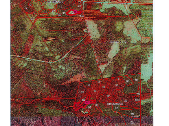 Myydään n. 11964 m3 / n. 89,60 ha kovakasvuinen metsäsijoituskohde Tervolasta tien vierestä. Kasvatusmetsiä n. 9699 m3. Mahdollisuus n. 2900 m3 hakkuisiin! Tarjoukset viimeistään ti 27.10.2026 sähköpostiin tuomo.liikanen@suomenmetsatilakauppa.fi              Lisätiedot 050-4334720, Tuomo Liikanen