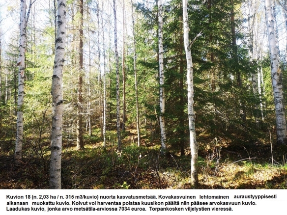 Myydään n. 11964 m3 / n. 89,60 ha kovakasvuinen metsäsijoituskohde Tervolasta tien vierestä. Kasvatusmetsiä n. 9699 m3. Mahdollisuus n. 2900 m3 hakkuisiin! Tarjoukset viimeistään ti 27.10.2026 sähköpostiin tuomo.liikanen@suomenmetsatilakauppa.fi              Lisätiedot 050-4334720, Tuomo Liikanen