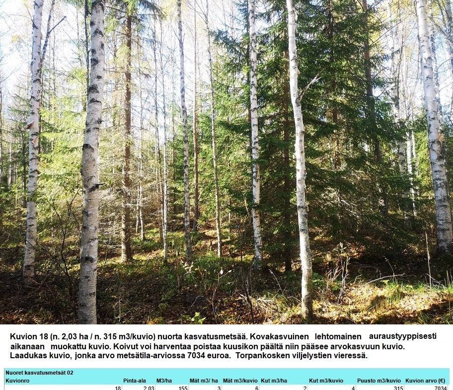Myydään n. 11964 m3 / n. 89,60 ha kovakasvuinen metsäsijoituskohde Tervolasta tien vierestä. Kasvatusmetsiä n. 9699 m3. Mahdollisuus n. 2900 m3 hakkuisiin! Tarjoukset viimeistään ti 27.10.2026 sähköpostiin tuomo.liikanen@suomenmetsatilakauppa.fi              Lisätiedot 050-4334720, Tuomo Liikanen