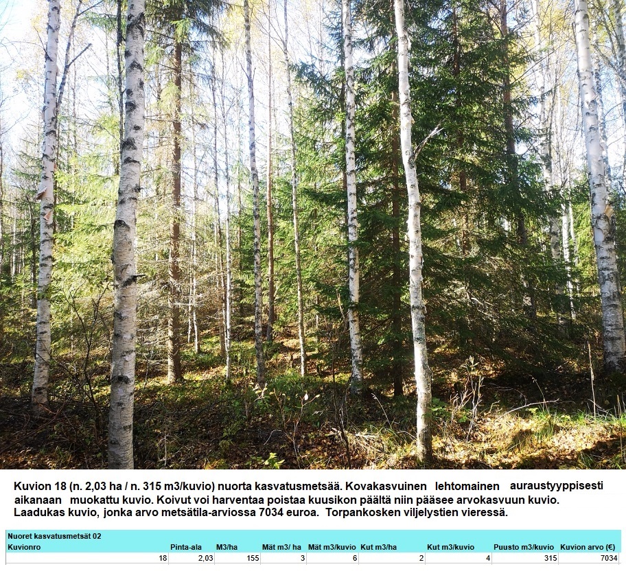 Kuvio 18 nuori kasvatusmetsä n. 2,03 ha Myydään n. 11964 m3 / n. 89,60 ha kovakasvuinen metsäsijoituskohde Tervolasta tien vierestä. Kasvatusmetsiä n. 9699 m3. Mahdollisuus n. 2900 m3 hakkuisiin! Tarjoukset viimeistään ti 27.10.2026 sähköpostiin tuomo.liikanen@suomenmetsatilakauppa.fi Lisätiedot 050-4334720, Tuomo Liikanen