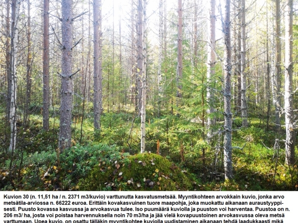 Myydään n. 11964 m3 / n. 89,60 ha kovakasvuinen metsäsijoituskohde Tervolasta tien vierestä. Kasvatusmetsiä n. 9699 m3. Mahdollisuus n. 2900 m3 hakkuisiin! Tarjoukset viimeistään ti 27.10.2026 sähköpostiin tuomo.liikanen@suomenmetsatilakauppa.fi              Lisätiedot 050-4334720, Tuomo Liikanen