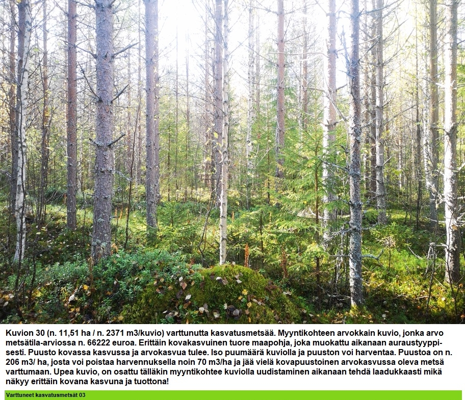 Myydään n. 11964 m3 / n. 89,60 ha kovakasvuinen metsäsijoituskohde Tervolasta tien vierestä. Kasvatusmetsiä n. 9699 m3. Mahdollisuus n. 2900 m3 hakkuisiin! Tarjoukset viimeistään ti 27.10.2026 sähköpostiin tuomo.liikanen@suomenmetsatilakauppa.fi              Lisätiedot 050-4334720, Tuomo Liikanen