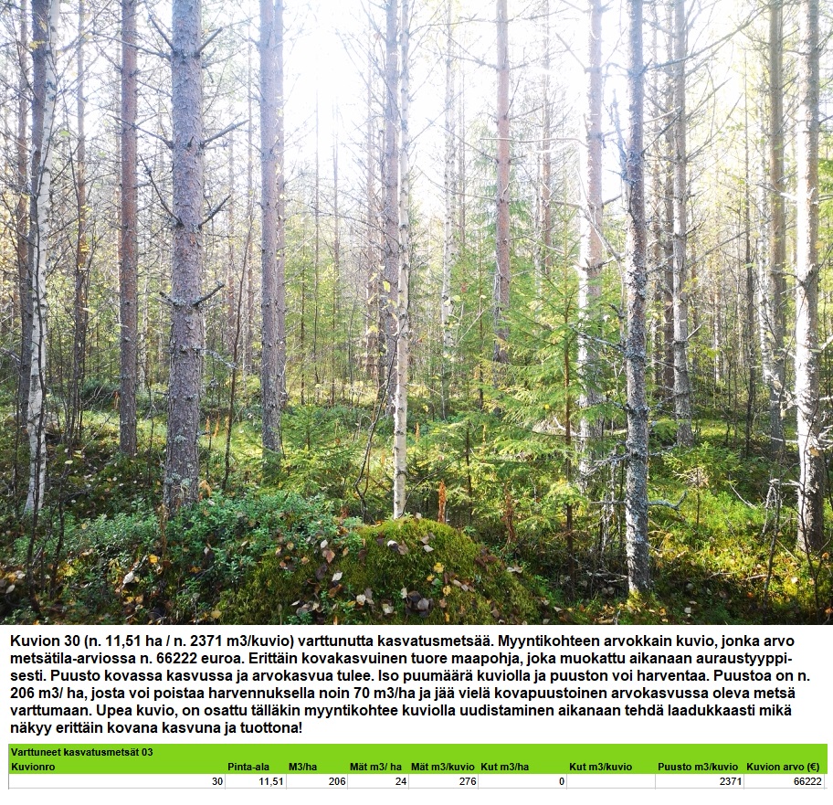 Kuvio 30 varttunut kasvatusmetsä n. 11,51 ha k1 Myydään n. 11964 m3 / n. 89,60 ha kovakasvuinen metsäsijoituskohde Tervolasta tien vierestä. Kasvatusmetsiä n. 9699 m3. Mahdollisuus n. 2900 m3 hakkuisiin! Tarjoukset viimeistään ti 27.10.2026 sähköpostiin tuomo.liikanen@suomenmetsatilakauppa.fi Lisätiedot 050-4334720, Tuomo Liikanen
