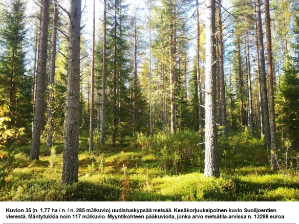 Myydään n. 11964 m3 / n. 89,60 ha kovakasvuinen metsäsijoituskohde Tervolasta tien vierestä. Kasvatusmetsiä n. 9699 m3. Mahdollisuus n. 2900 m3 hakkuisiin! Tarjoukset viimeistään ti 27.10.2026 sähköpostiin tuomo.liikanen@suomenmetsatilakauppa.fi              Lisätiedot 050-4334720, Tuomo Liikanen