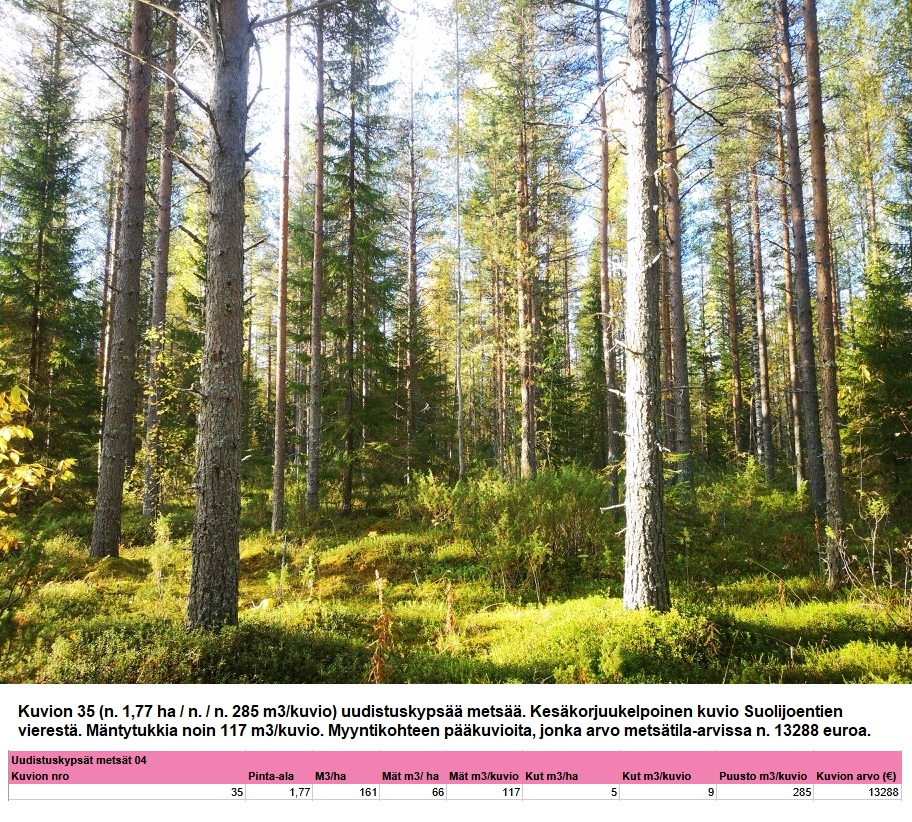 Kuvio 35 uudistuskypsä metsä n. 1,77 ha k1 Myydään n. 11964 m3 / n. 89,60 ha kovakasvuinen metsäsijoituskohde Tervolasta tien vierestä. Kasvatusmetsiä n. 9699 m3. Mahdollisuus n. 2900 m3 hakkuisiin! Tarjoukset viimeistään ti 27.10.2026 sähköpostiin tuomo.liikanen@suomenmetsatilakauppa.fi Lisätiedot 050-4334720, Tuomo Liikanen